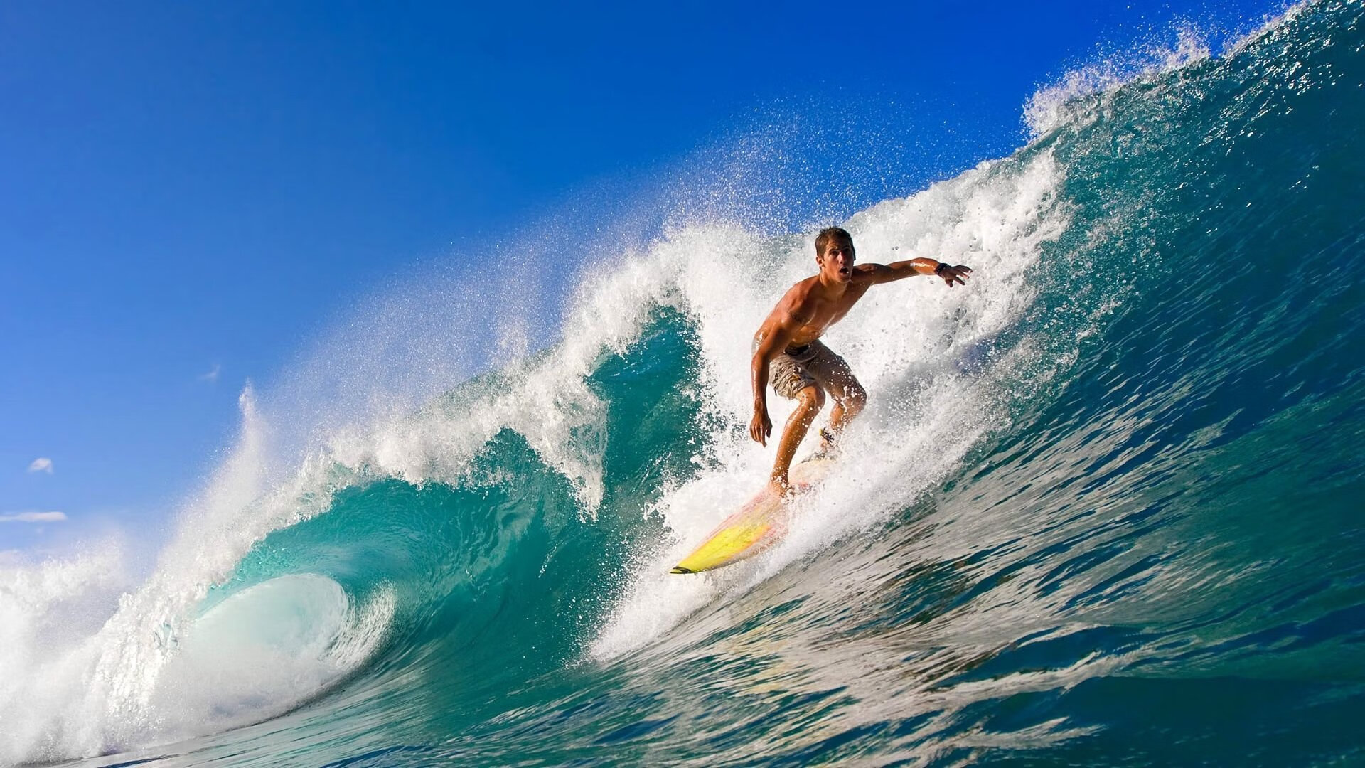 国际武术运动会开幕 中国队在首日套路比赛中包揽四金